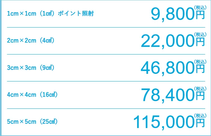 サブシジョンの料金