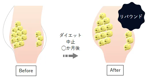 自己流ダイエットでは脂肪細胞は破壊できず、リバウンドしやすい
