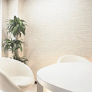 ジョウクリニック 東京1院のジェントルマックスプロの都度払いによる施術を受ける前のカウンセリングルーム