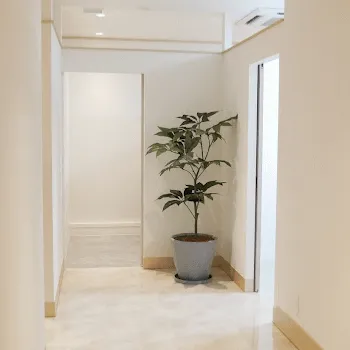 Wi Clinic 東京2院のピコスポットを受ける前の廊下