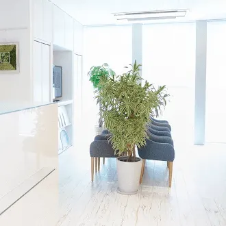 Wクリニック 全国3院のデンシティを受ける前の待合室