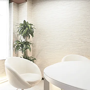 ジョウクリニック 全国4院のプルリアルデンシファイを受ける前のカウンセリングルーム