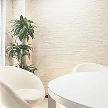 ジョウクリニック 銀座院のピコトーニングを受ける前のカウンセリングルーム