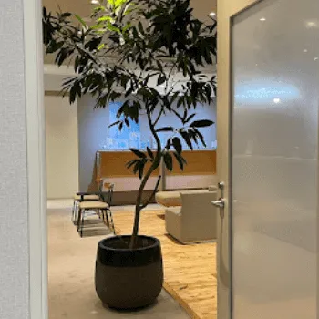 美容皮膚科エルムクリニック福岡院の白玉点滴・注射を受けるクリニックの入り口