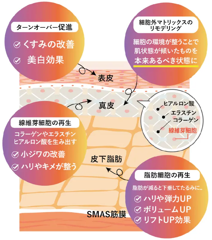 湘南美容クリニックのプロファイロの効果