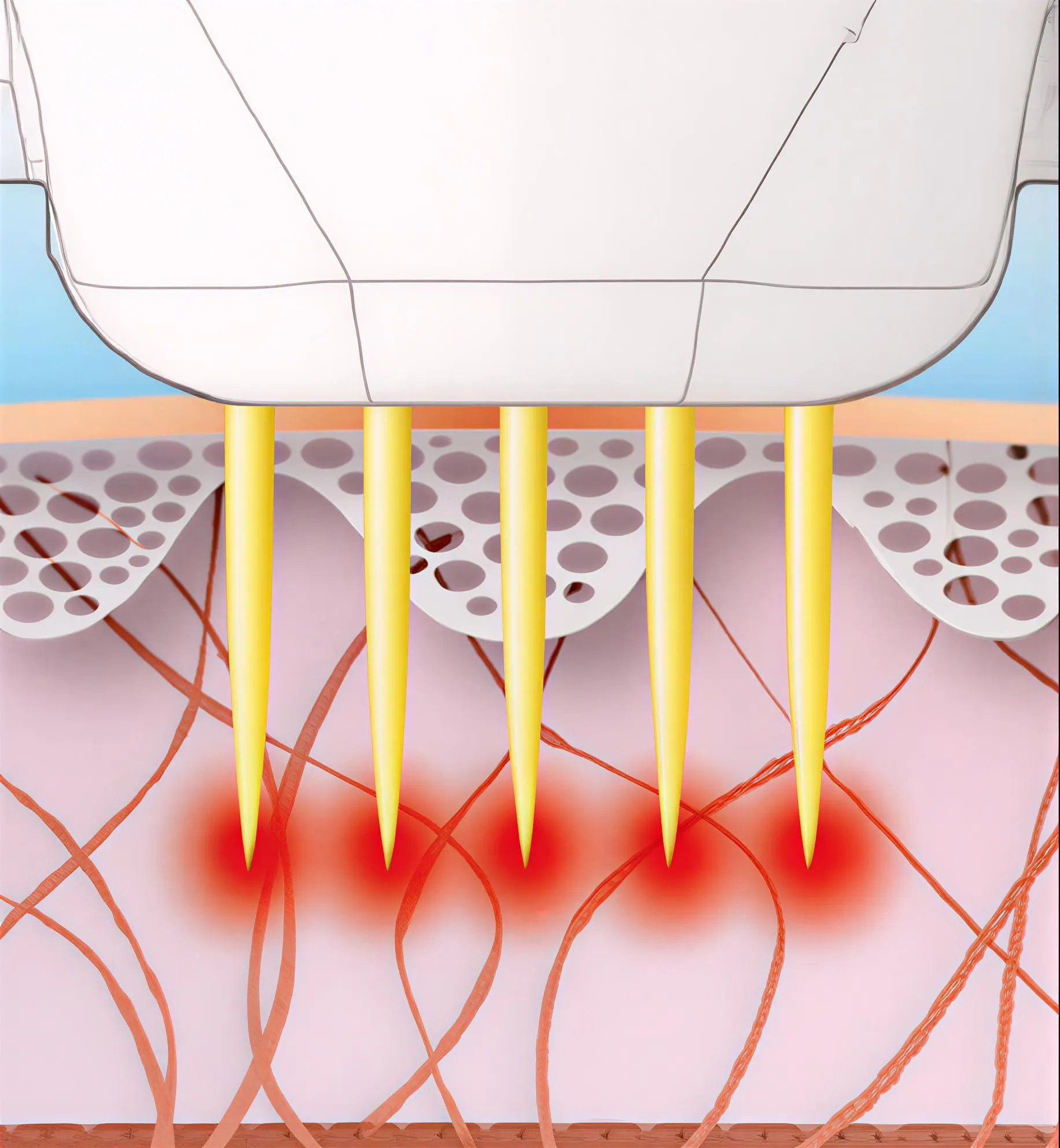 25PINのイメージ