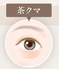 茶クマ