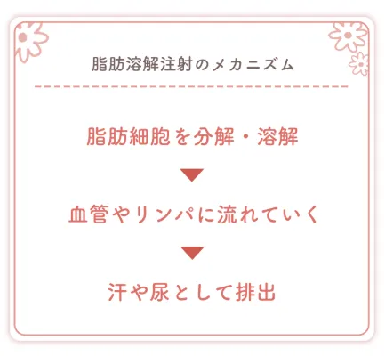 脂肪溶解注射のメカニズム
