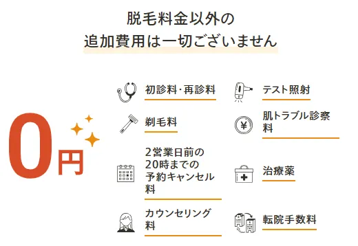 レジーナクリニックオプション説明