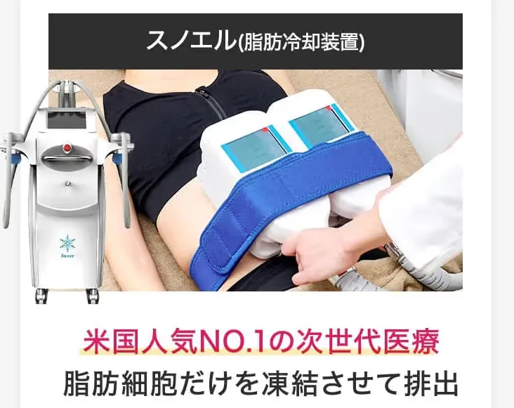 使用している脂肪冷却装置