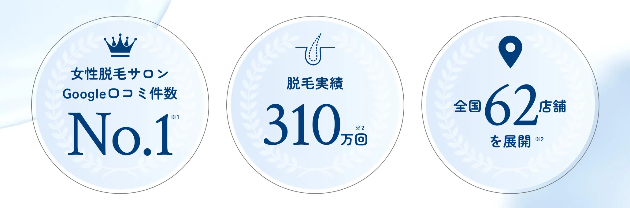 ストラッシュ アマギフ　キャンペーン 実績