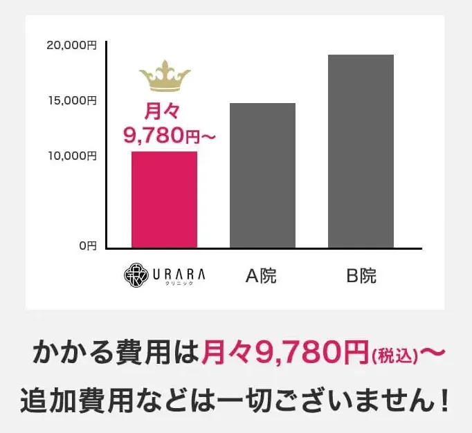 千葉で脂肪冷却が安いおすすめのクリニック　月額