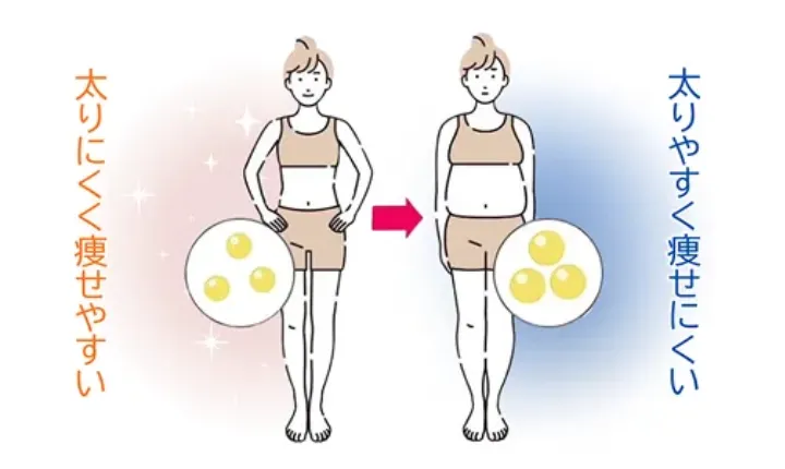 銀座で脂肪冷却が安いおすすめのクリニック　uraraクリニックの施術内容