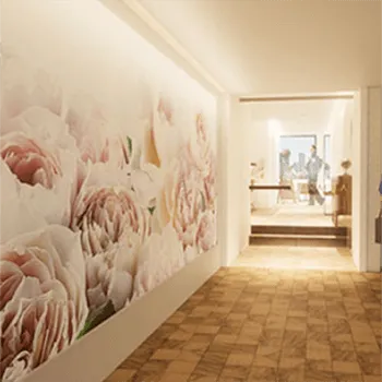 アマリラビューティークリニック大阪心斎橋院のブレッシングを受ける前の廊下