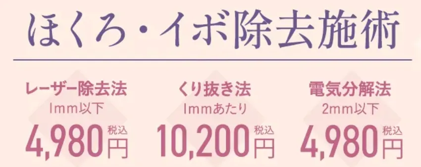 ほくろ・いぼ除去施術　価格
