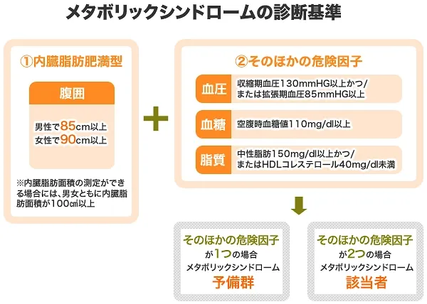 40代で運動不足？何から始める？運動しないとどうなるのか専門家が解説｜メタボリックシンドロームの診断基準