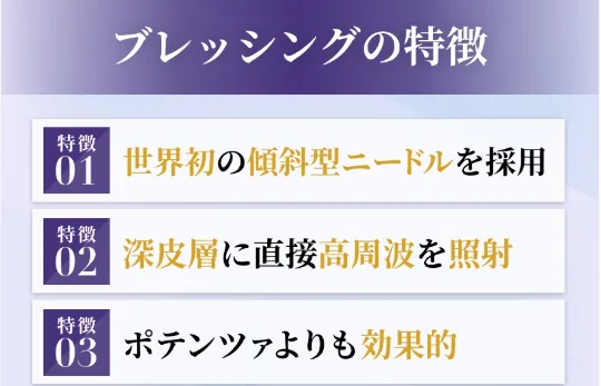 ブレッシングの特徴