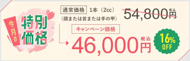 SBC湘南美容クリニックの4月の月替わりキャンペーン　プロファイロの料金③