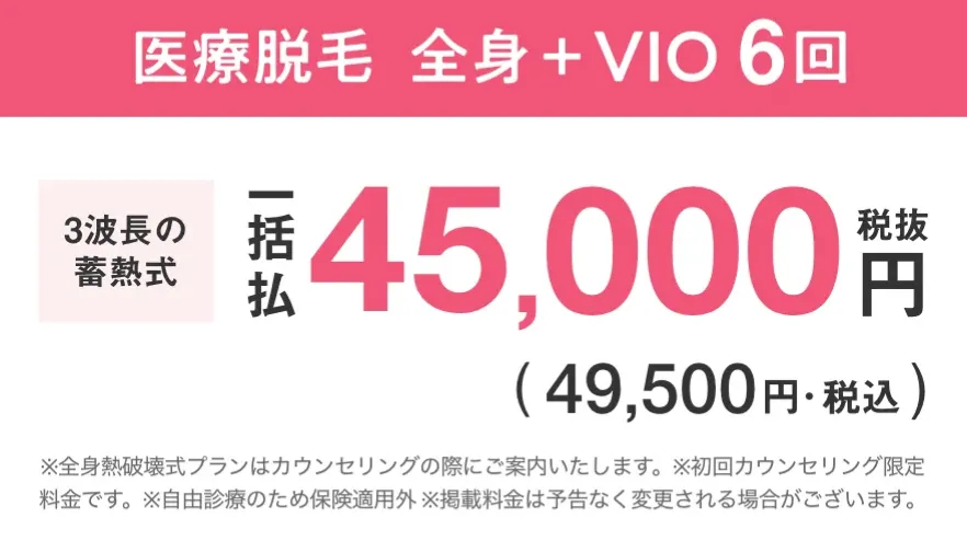 エミナルクリニックの蓄熱式全身+VIO脱毛6回プラン