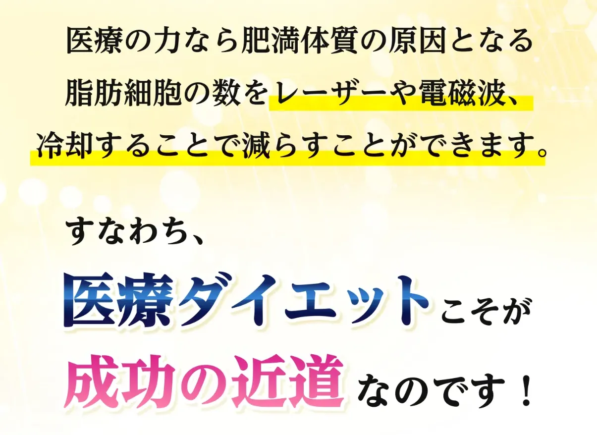 医療ダイエットの説明