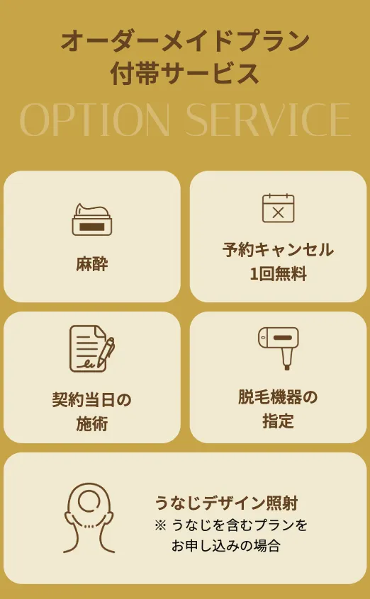 レジーナクリニックのオーダーメイドプラン付帯サービス