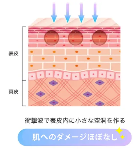 TCBピコレーレザーの説明画像