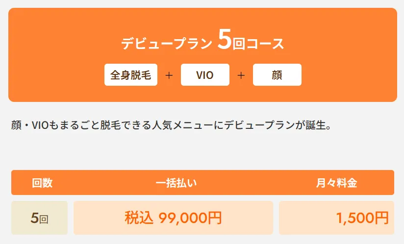レジーナクリニックの医療脱毛デビュープラン全身+VIO+顔5回コース