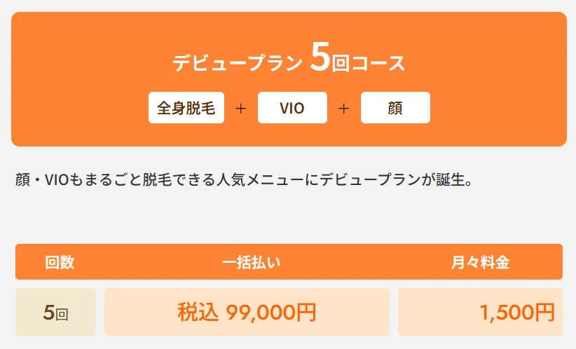 レジーナクリニックの医療脱毛デビュープラン全身+VIO+顔5回コース