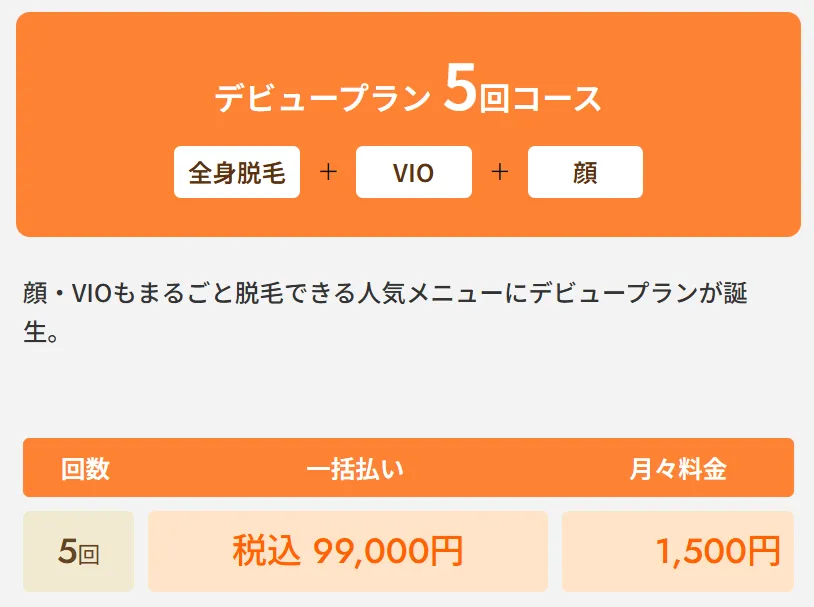 レジーナクリニックの医療脱毛デビュープラン全身+VIO+顔5回コース