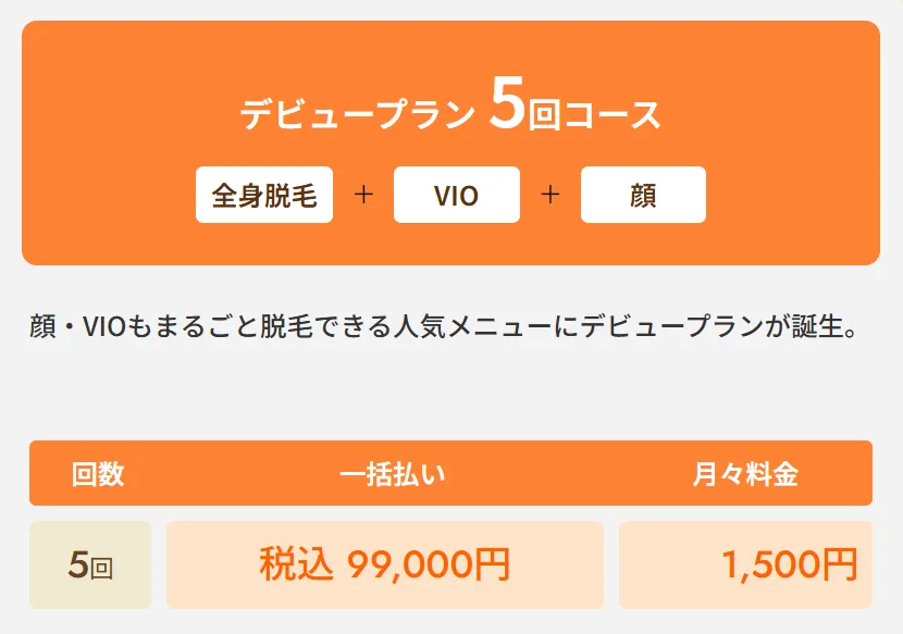 レジーナクリニックの医療脱毛デビュープラン全身+VIO+顔5回コース