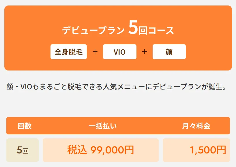 レジーナクリニックの医療脱毛デビュープラン全身+VIO+顔5回コース