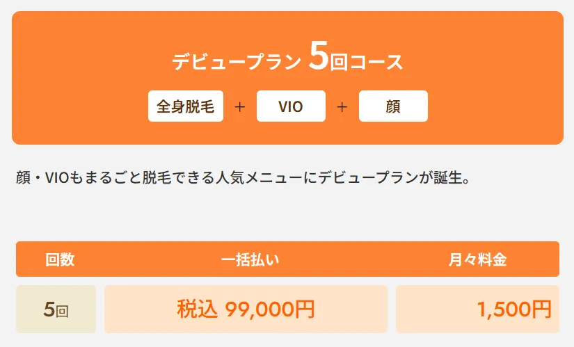 レジーナクリニックの医療脱毛デビュープラン全身+VIO+顔5回コース