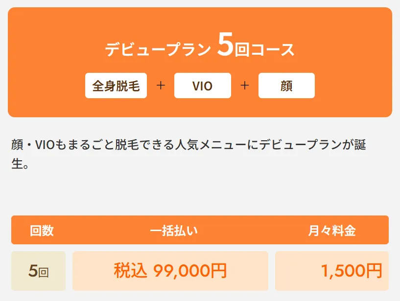 レジーナクリニックの医療脱毛デビュープラン全身+VIO+顔5回コース