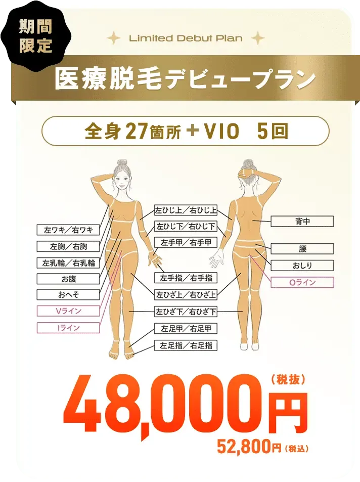 レジーナクリニックの医療脱毛デビュープラン全身+VIO5回コース