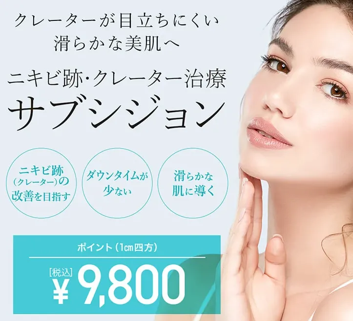 TCBのサブシジョンの価格