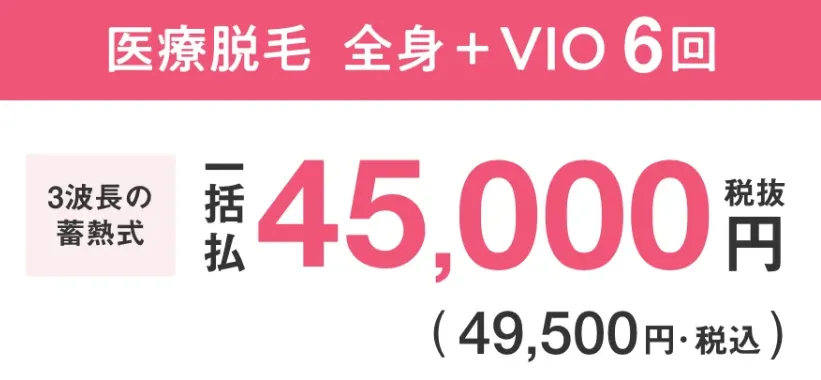 エミナルクリニック 医療脱毛 蓄熱式全身+VIO6回の料金