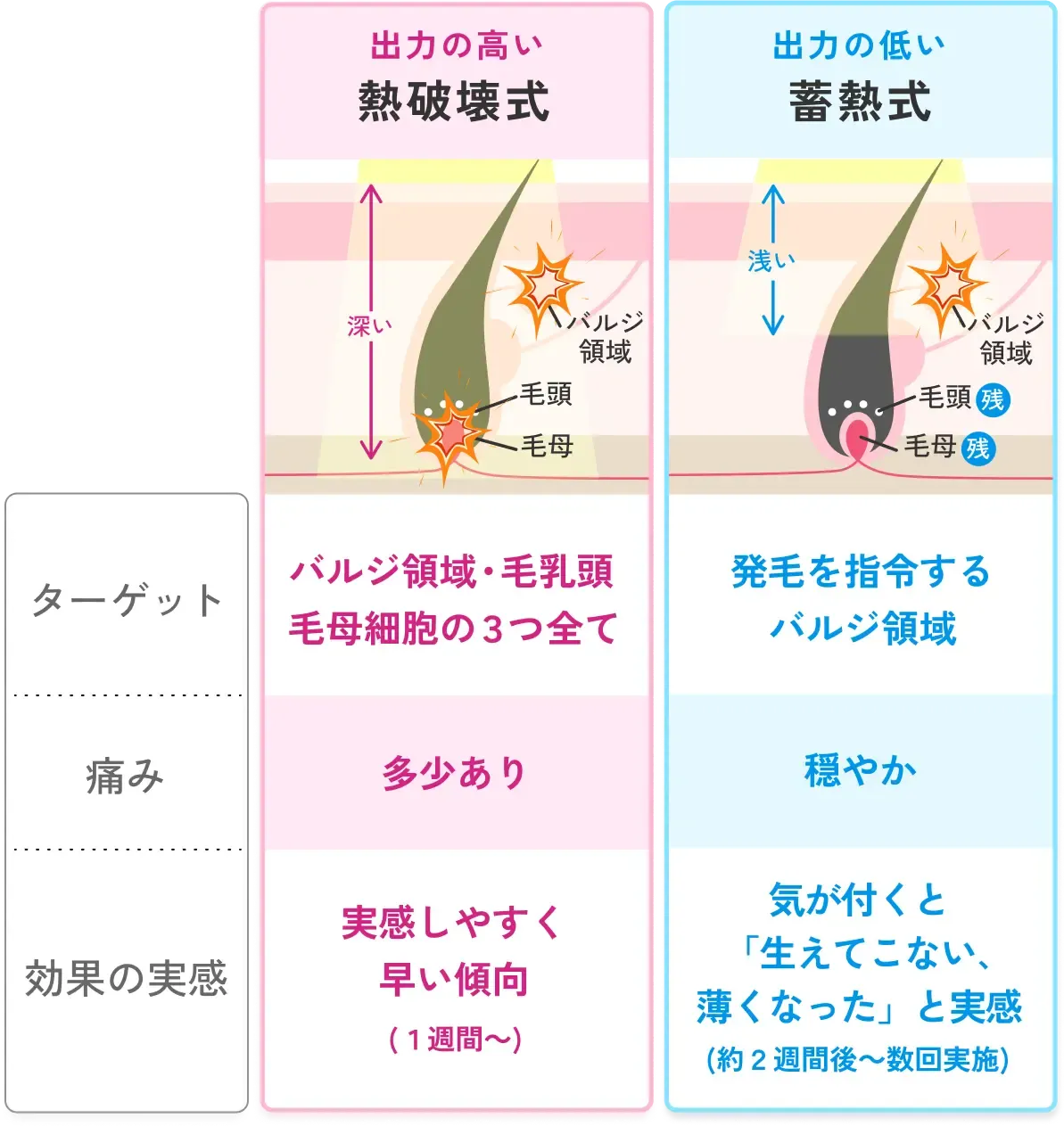 エミナルクリニック使用機器 熱破壊式と蓄熱式の比較