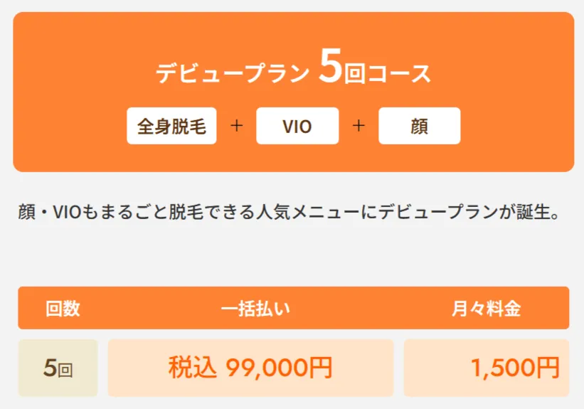 レジーナクリニックの医療脱毛デビュープラン全身+VIO+顔5回コース