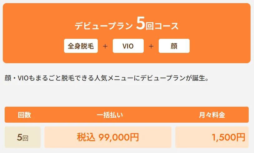 レジーナクリニックの医療脱毛デビュープラン全身+VIO+顔