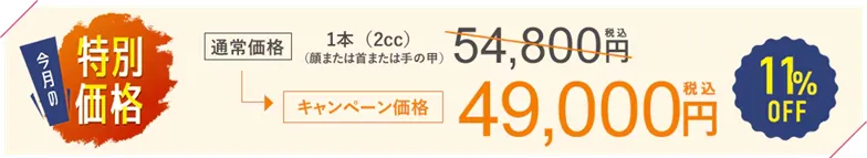 名古屋でプロファイロが安いおすすめのクリニック 湘南美容クリニックの料金