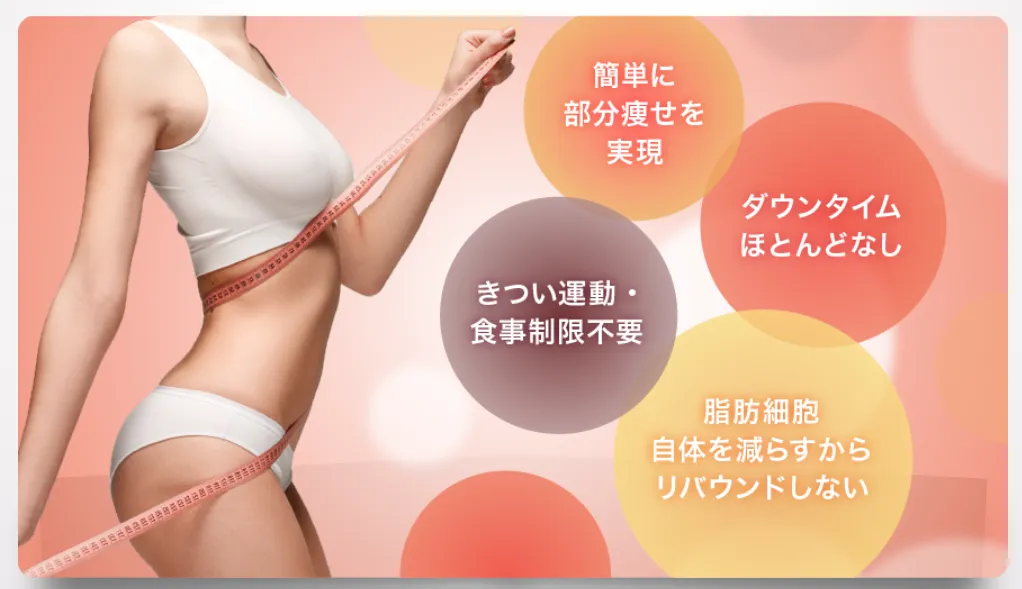 新潟で脂肪溶解注射のおすすめクリニック|メリットの一覧画像