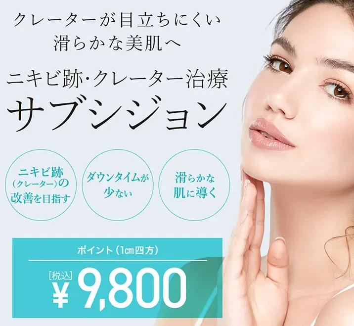 TCBのサブシジョンの価格