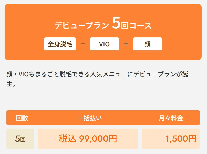 レジーナクリニックの医療脱毛デビュープラン全身+VIO+顔5回コース