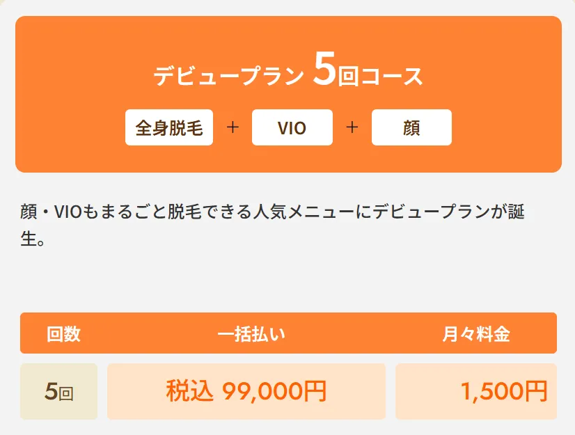 レジーナクリニックの医療脱毛デビュープラン全身+VIO+顔5回コース
