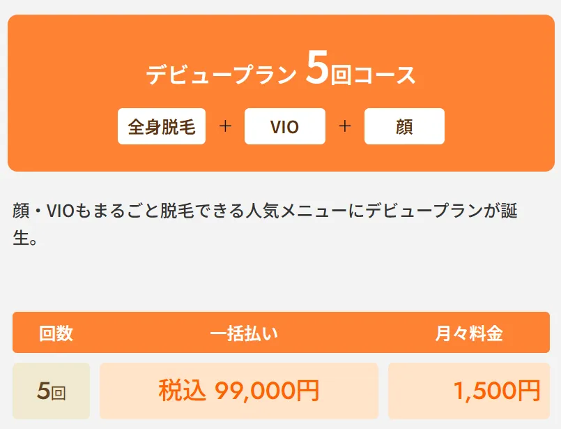 レジーナクリニックの医療脱毛デビュープラン全身+VIO+顔5回コース