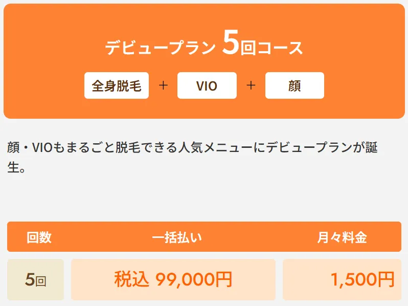 レジーナクリニックの医療脱毛デビュープラン全身+VIO+顔5回コース