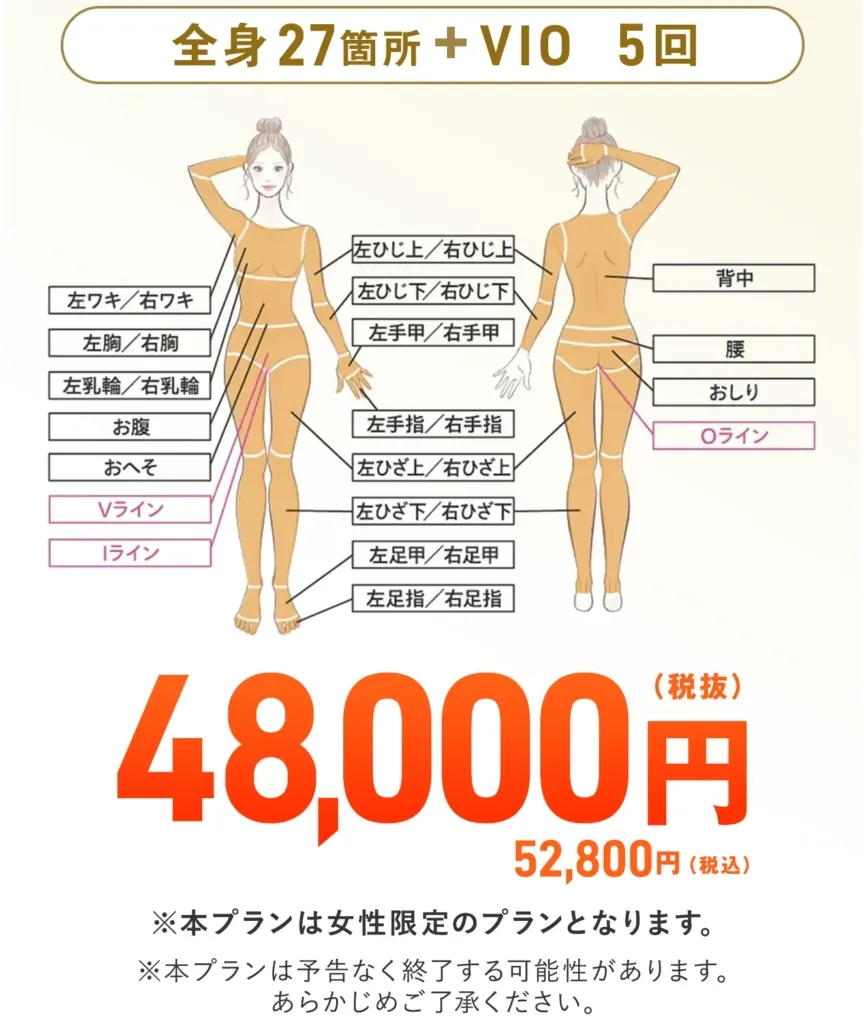 レジーナクリニックのデビュープランが52,800円(税込)