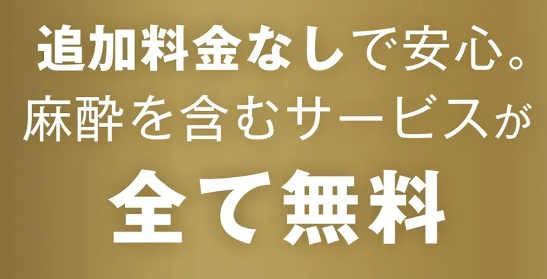 レジーナクリニック追加料金なしで安心 麻酔を含むすべてが無料