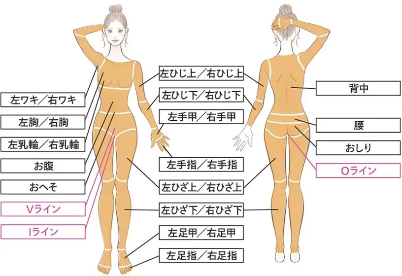レジーナクリニックの医療脱毛全身の部位
