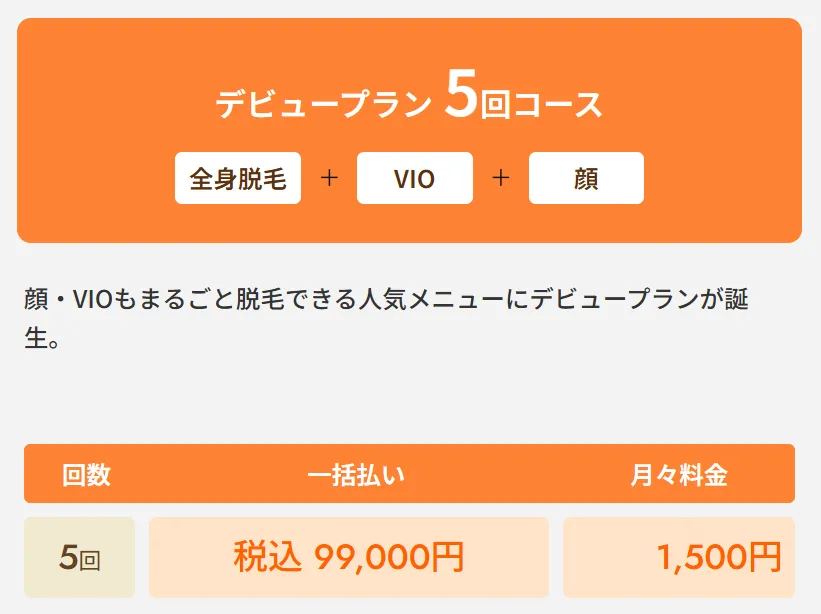 レジーナクリニックの医療脱毛デビュープラン全身+VIO+顔5回コース